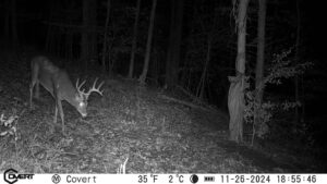 Buck head at night on trail cam