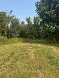 1000 Hidden Acres in Mount Olivet, KY